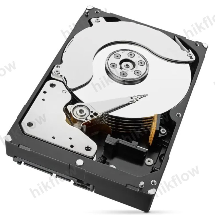 Seagate Exos X18 10TB ST10000NM017B Kurumsal Sabit Disk
