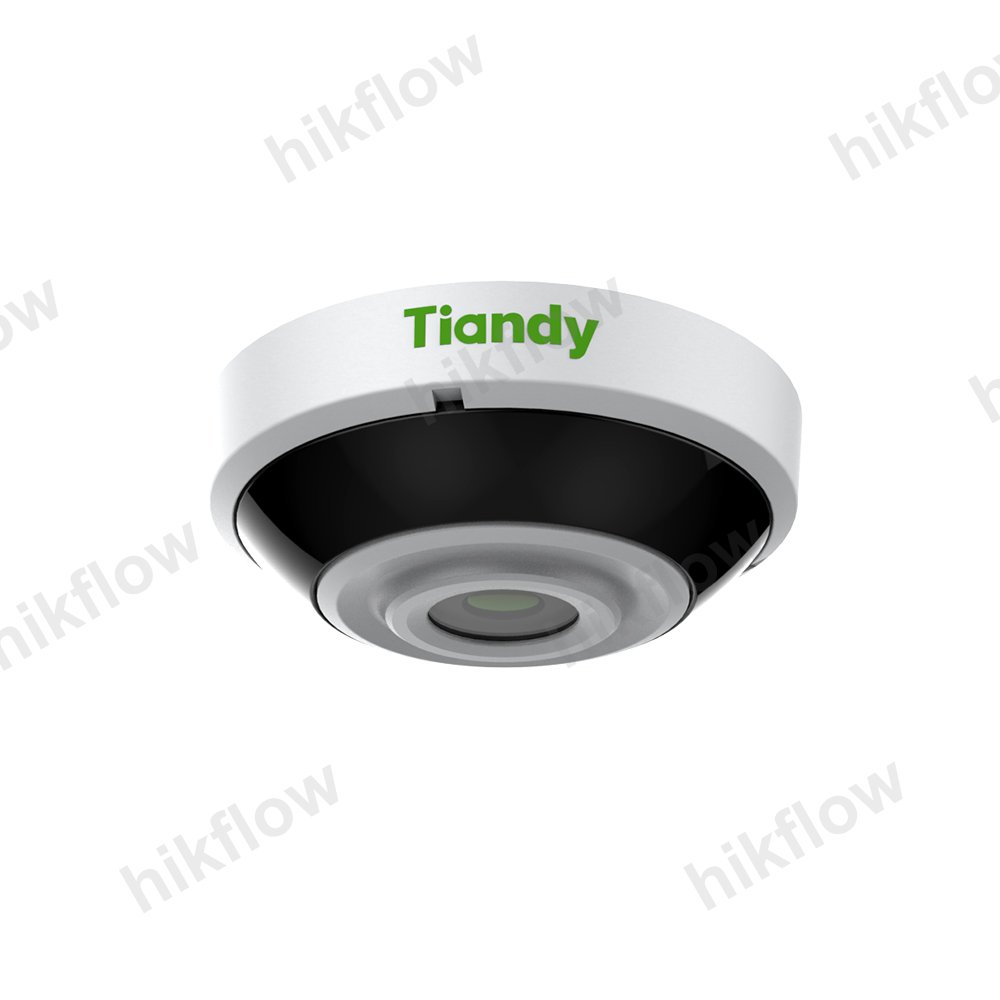 Tiandy TC-A32P6 Spec:E/4mm 2MP IP Bullet Kamera