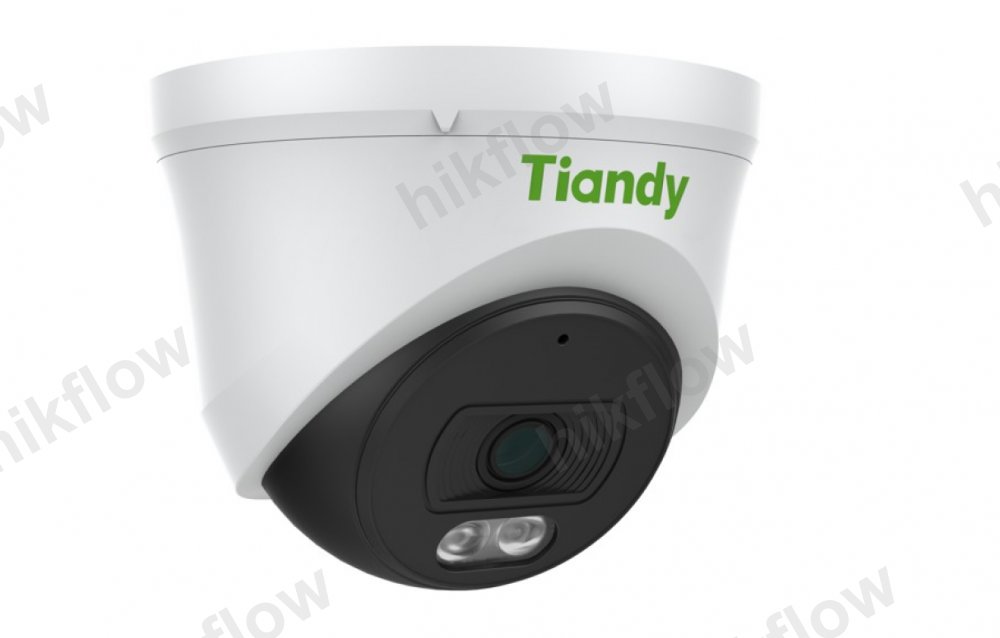 Tiandy TC-C32XN 2MP IP Bullet Kamera