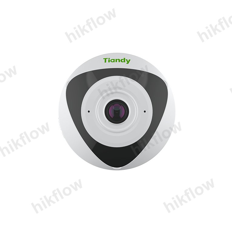 Tiandy TC-C35VN 5MP 1.4mm Panoramik IP Kamera